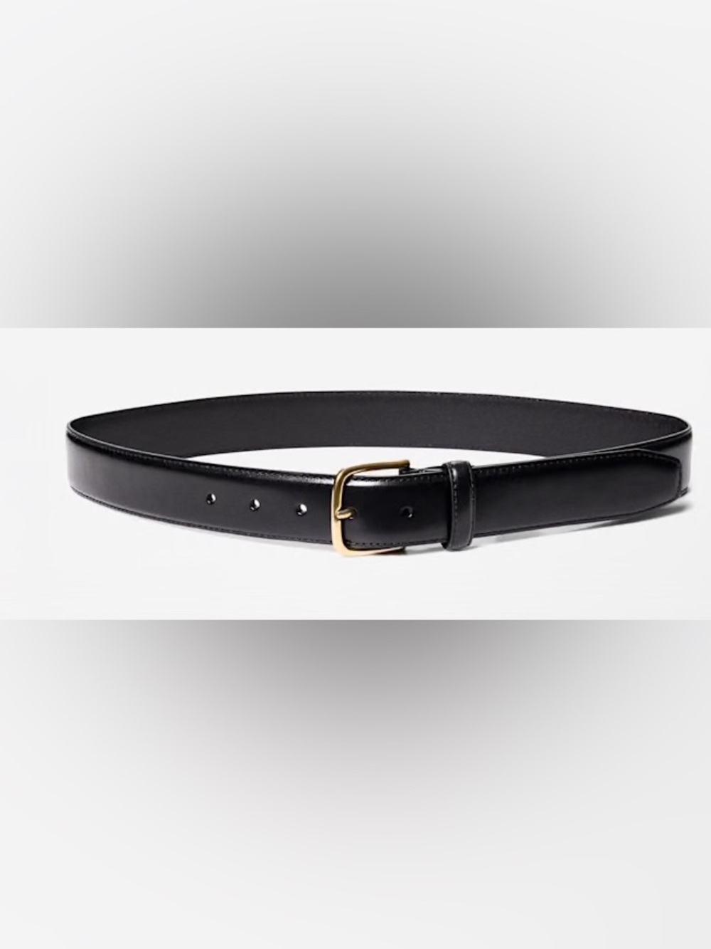 Aritzia Solid Brass Leather Wide Belt